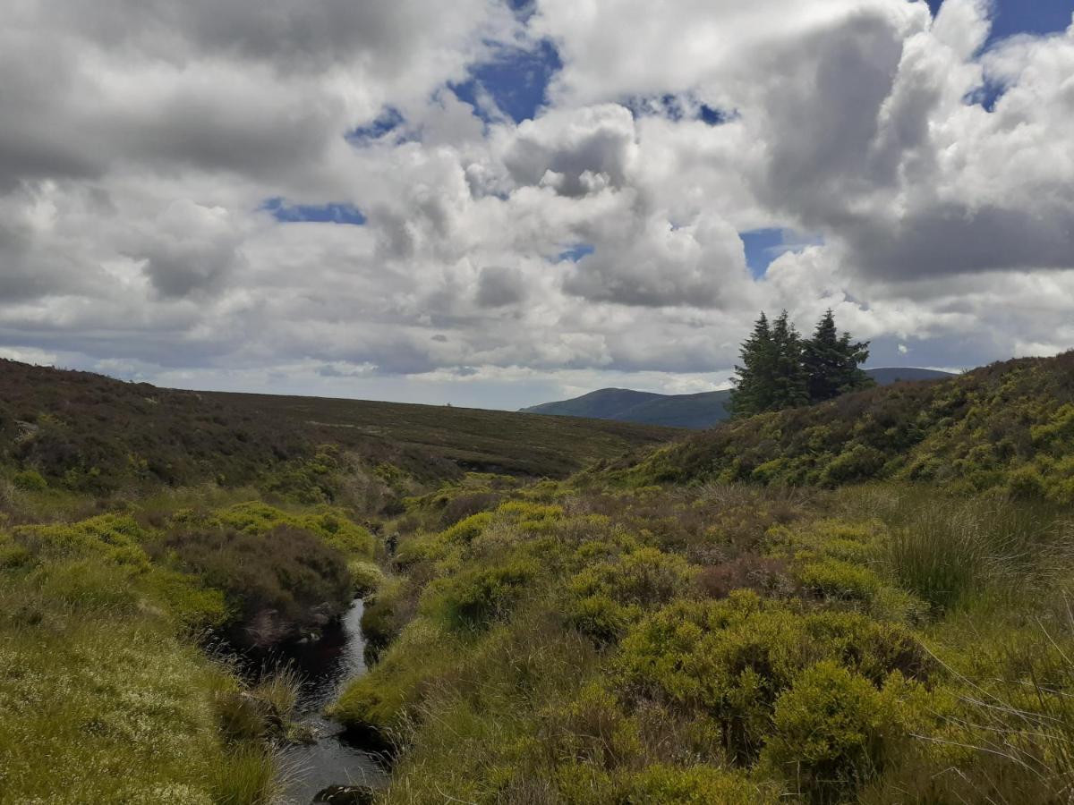 Ensuite At The Foot Of Dublin Mountains 外观 照片